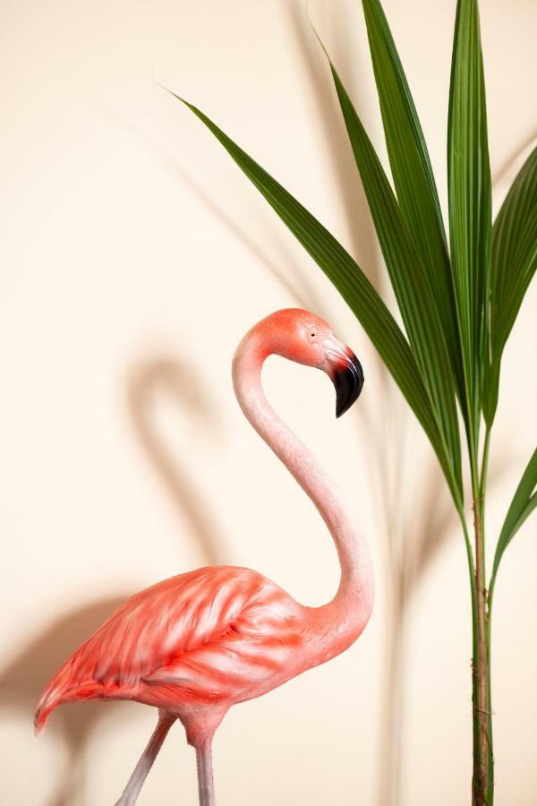 Flamingo Apartment Málaga Esterno foto